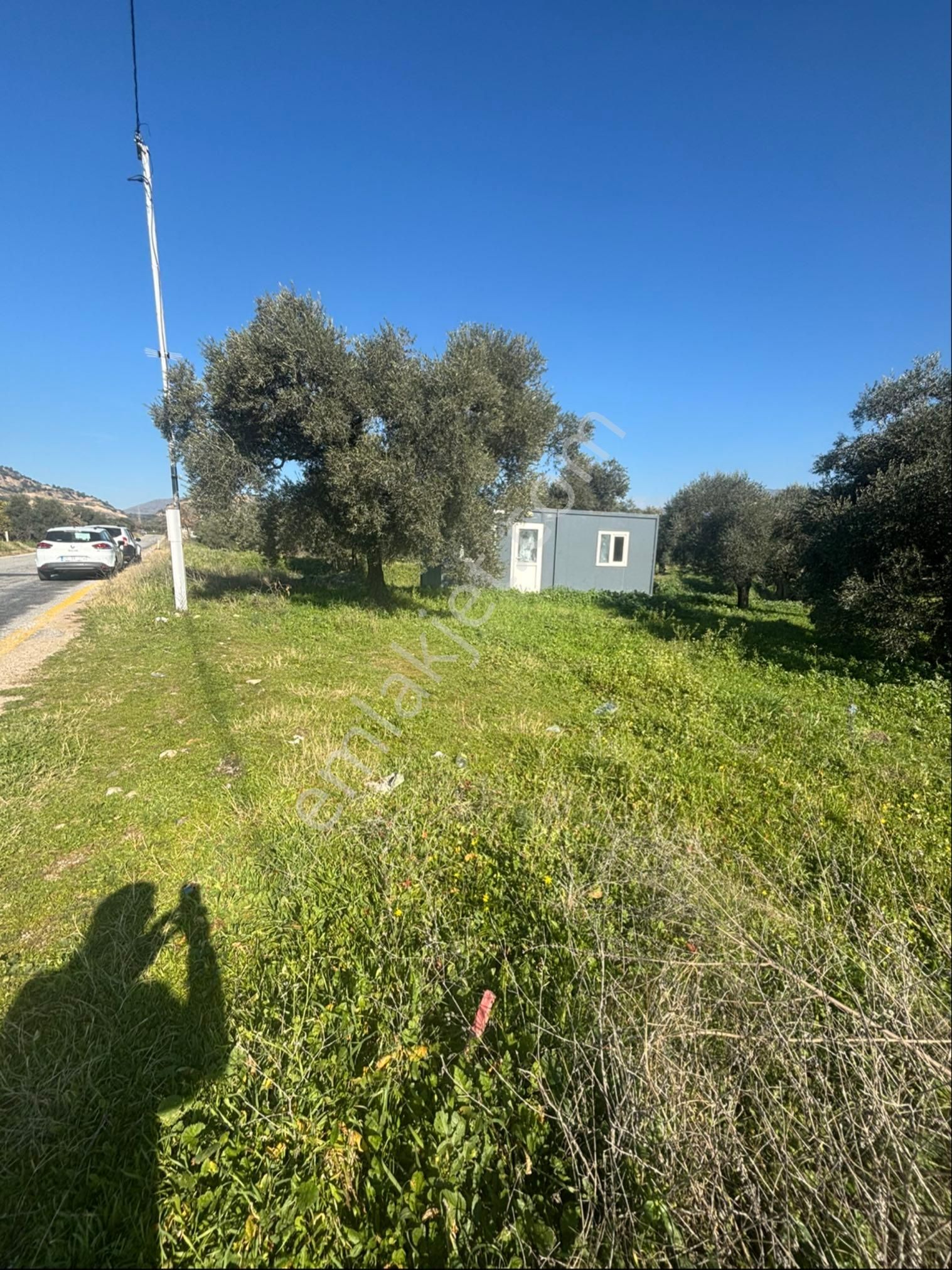 Sezgin Emlak Dan Güzelköy Asfalt Kenarı Elk Ve Su Abonelikli Zeytinlik Satılık - Görsel 11