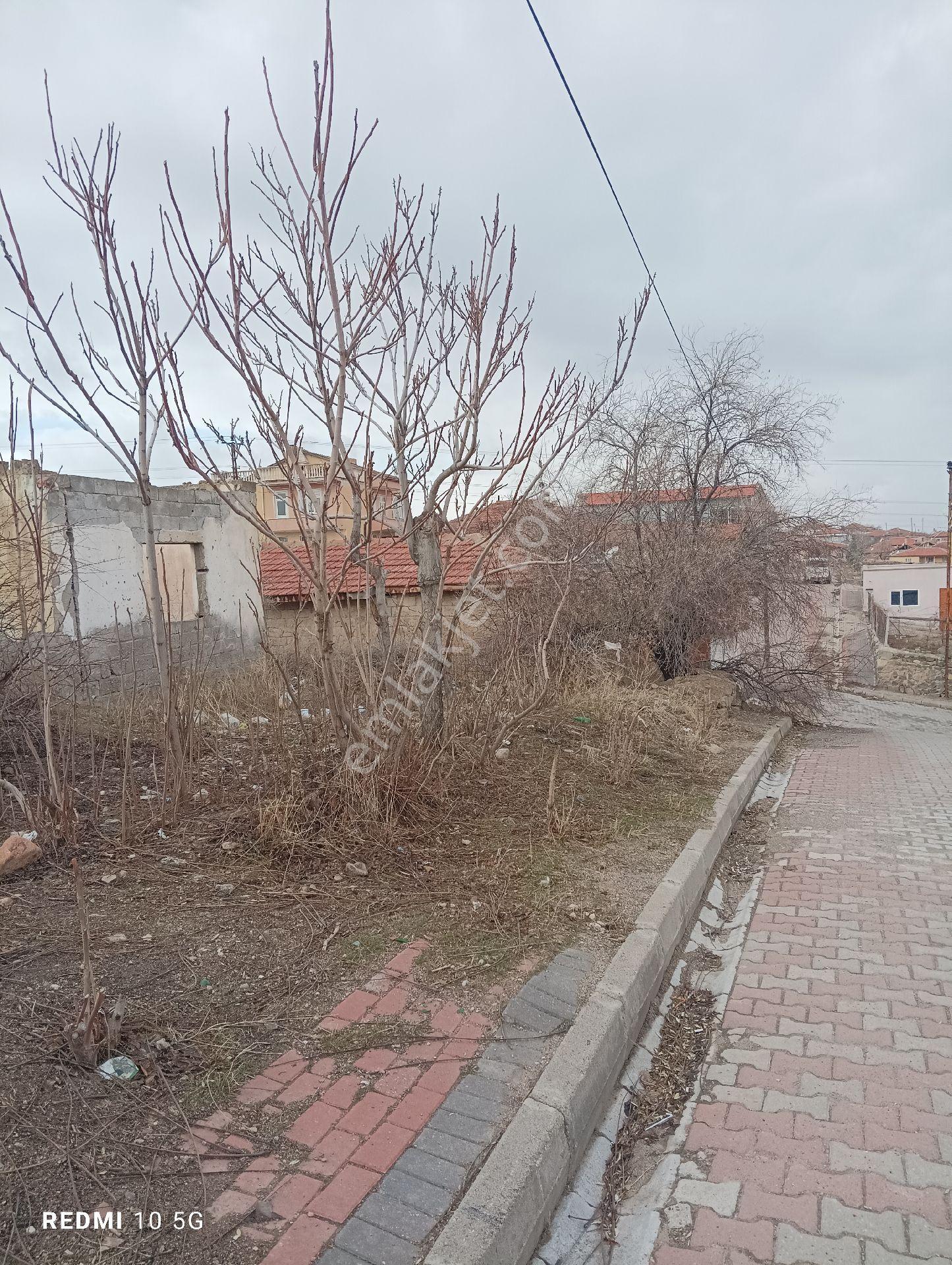 Satılık Arsa 2 Parsel - Görsel 12