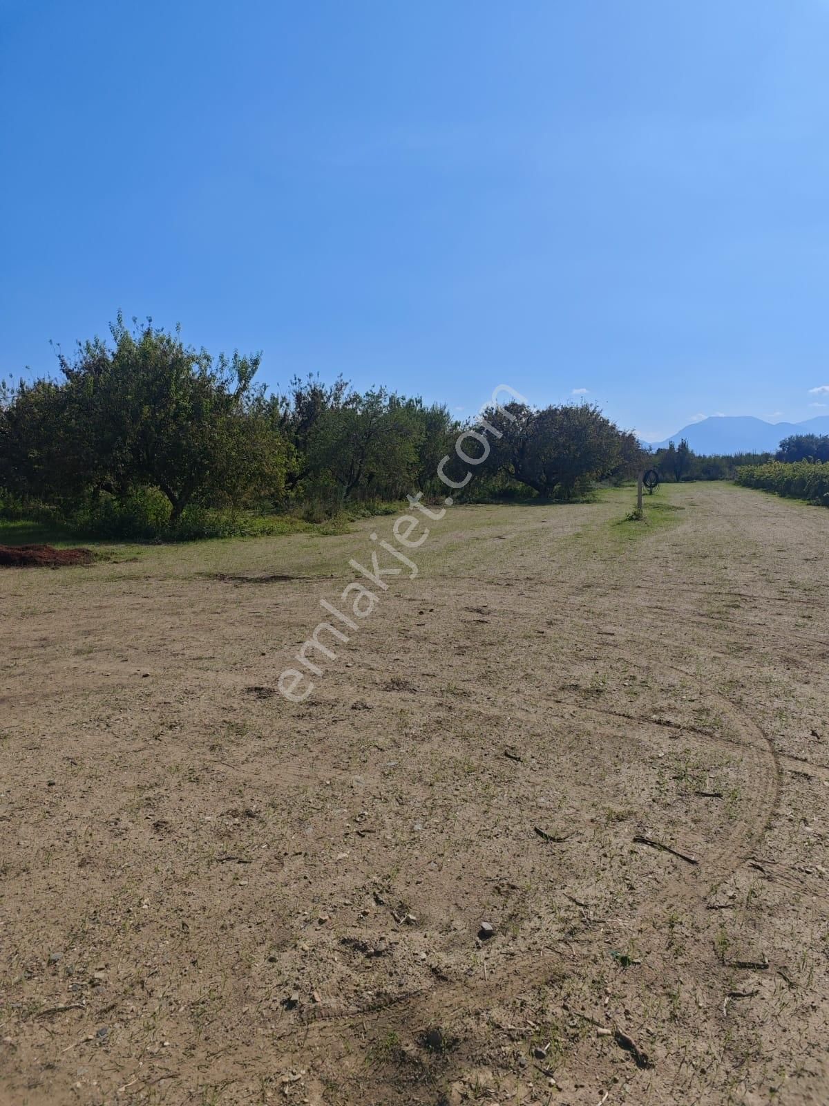 9. Mıntıka Da 15 Dönüm Satılık Tarla Sanayi İmarına Yakın - Görsel 10