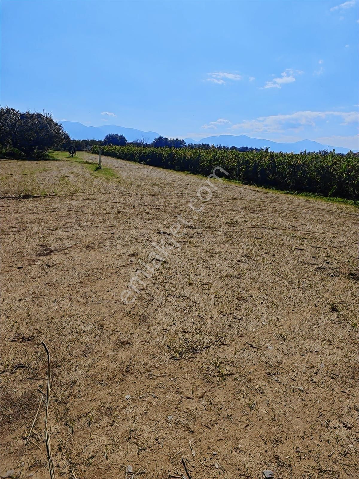 9. Mıntıka Da 15 Dönüm Satılık Tarla Sanayi İmarına Yakın - Görsel 8