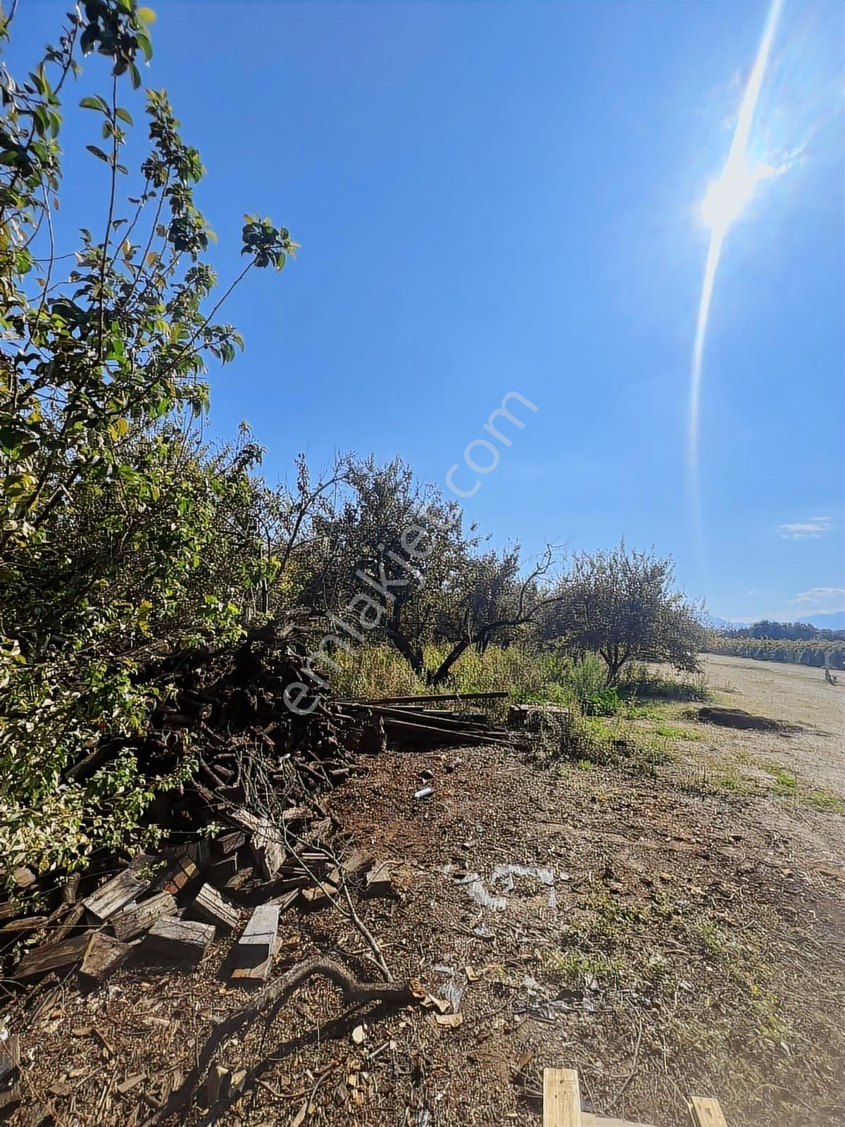 9. Mıntıka Da 15 Dönüm Satılık Tarla Sanayi İmarına Yakın - Görsel 5