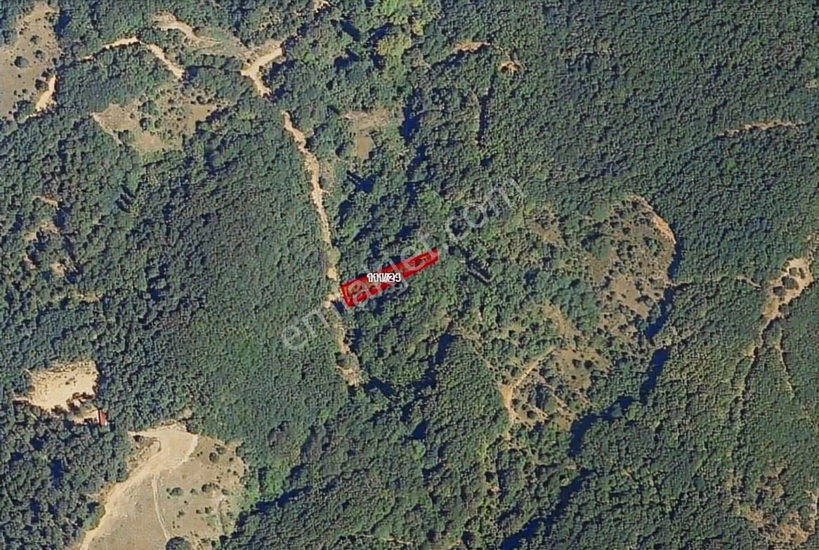 Tokdemir Gayrimenkulden Güvenli Köyünde 580² Bağ & Bahçe