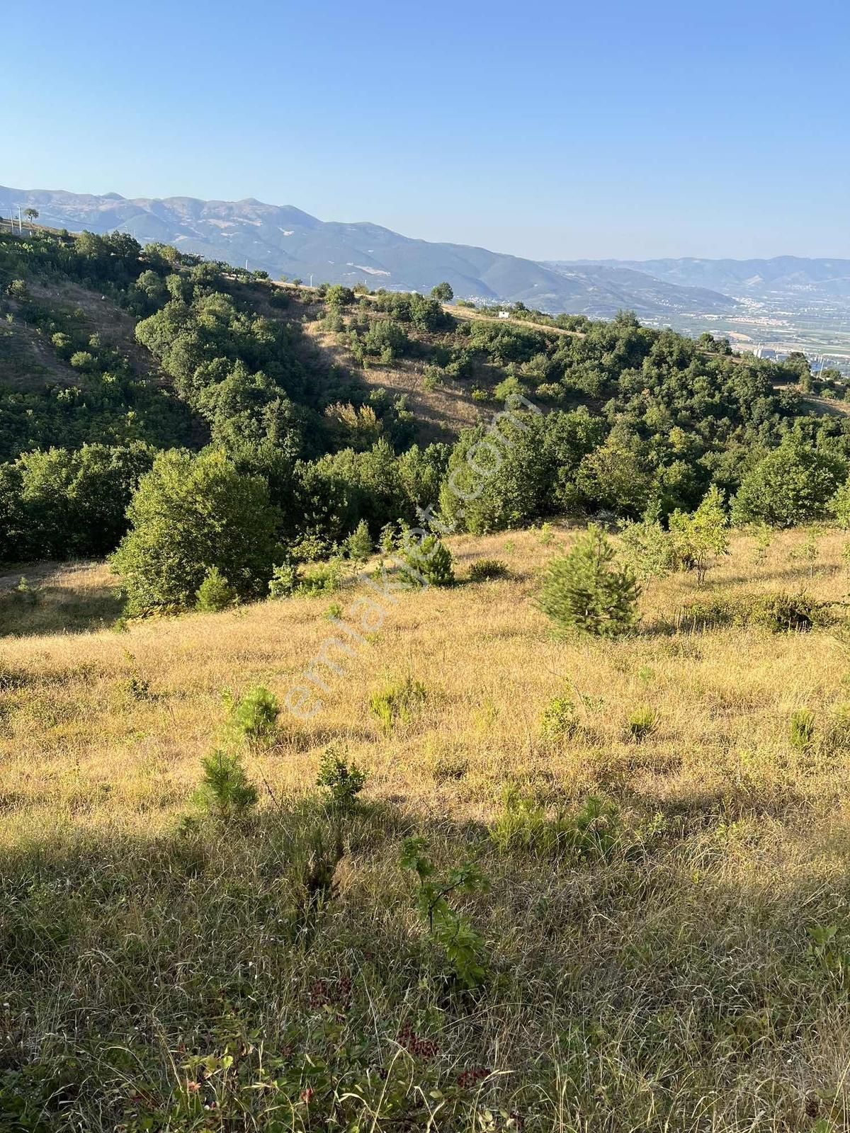 Tokdemir Gayrimenkul'den Güvenlide Satılık Tarla