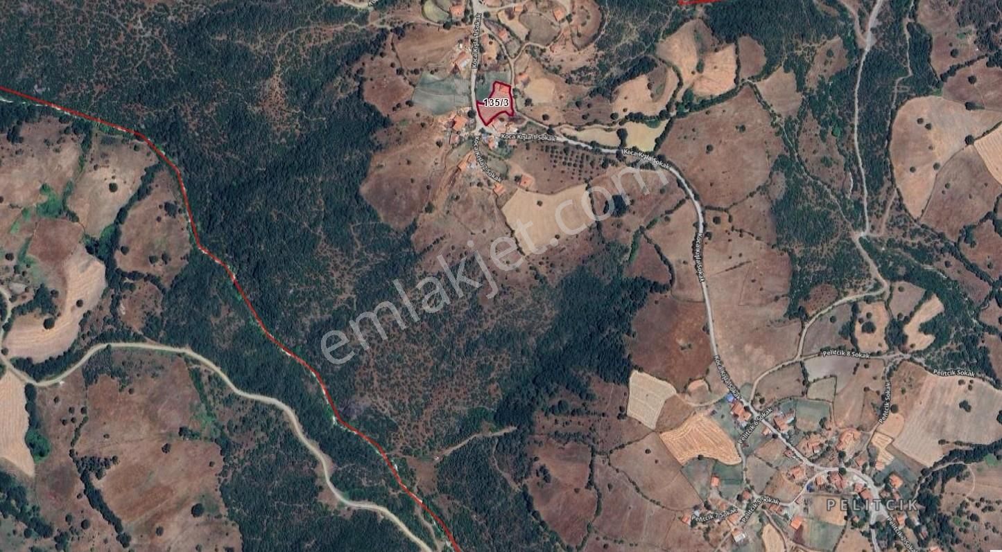 Balıkesir Savaştepe Pelitcikde Satılık Taş Ev Ve Bahçesi(1489m²) - Görsel 17