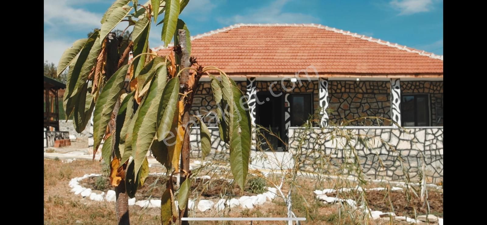 Balıkesir Savaştepe Pelitcikde Satılık Taş Ev Ve Bahçesi(1489m²) - Görsel 2