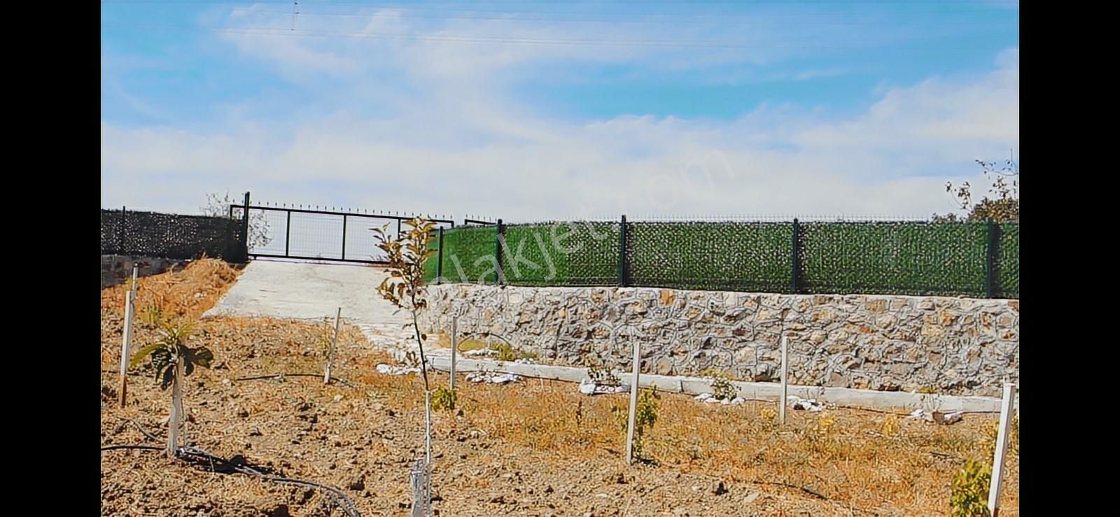 Balıkesir Savaştepe Pelitcikde Satılık Taş Ev Ve Bahçesi(1489m²) - Görsel 4