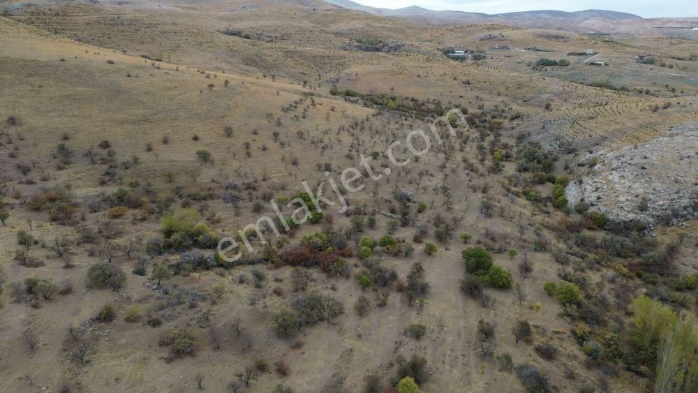 Meram Kozağaç Da 23,02 M2 Hisse Tapulu Arazi - Görsel 4