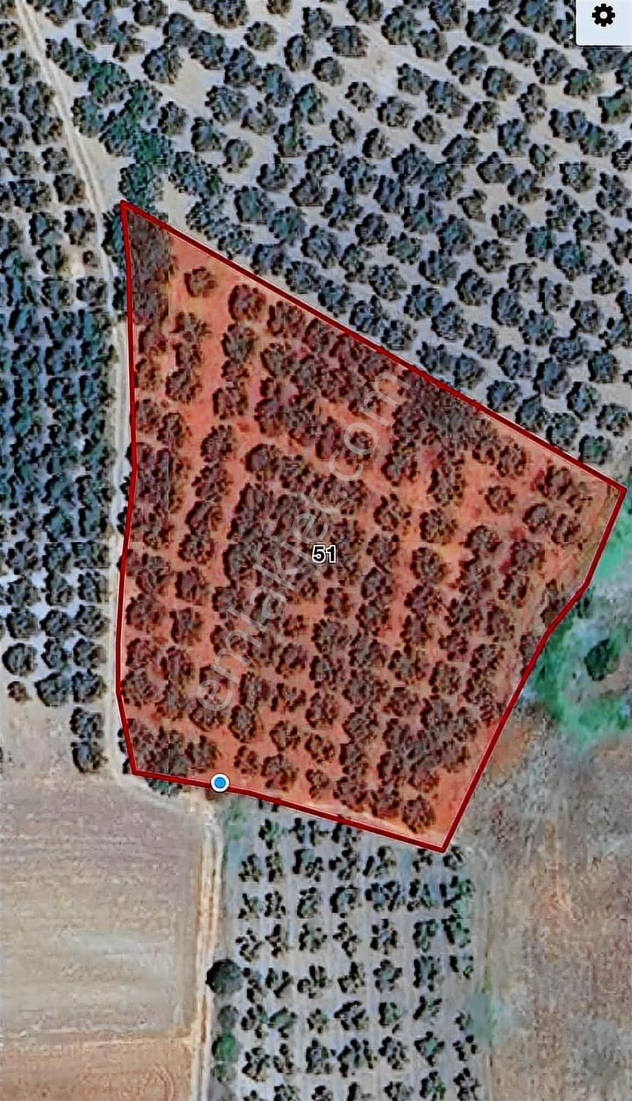 İnvestaş Global Gökçeköy'de 4.850m2 Satılık Tarla - Görsel 11