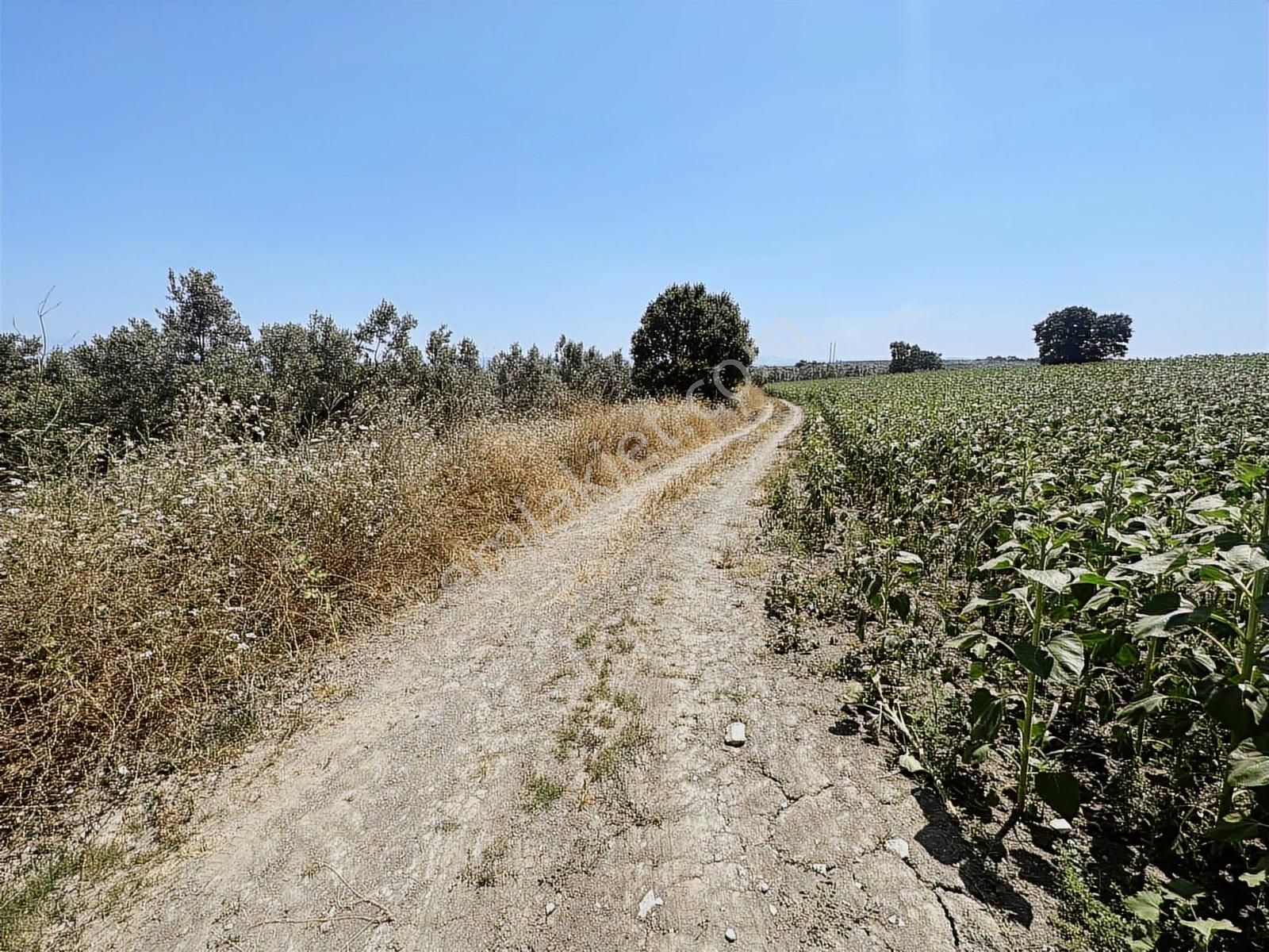 İnvestaş Global Gökçeköy'de 4.850m2 Satılık Tarla - Görsel 6