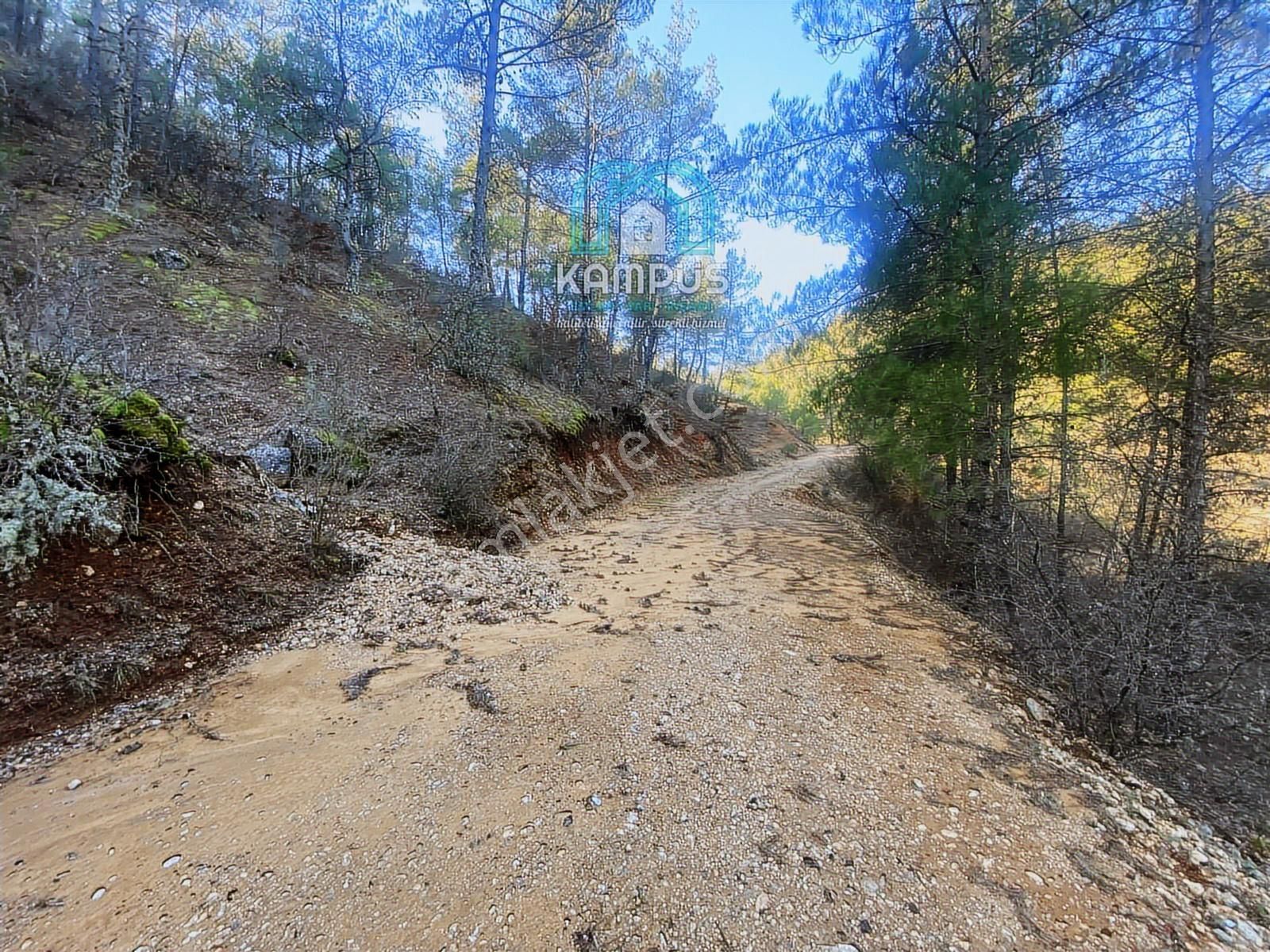 Muğla Yerkesik'te Damla Deresi Mevkiinde Satılık Tarla - Görsel 14