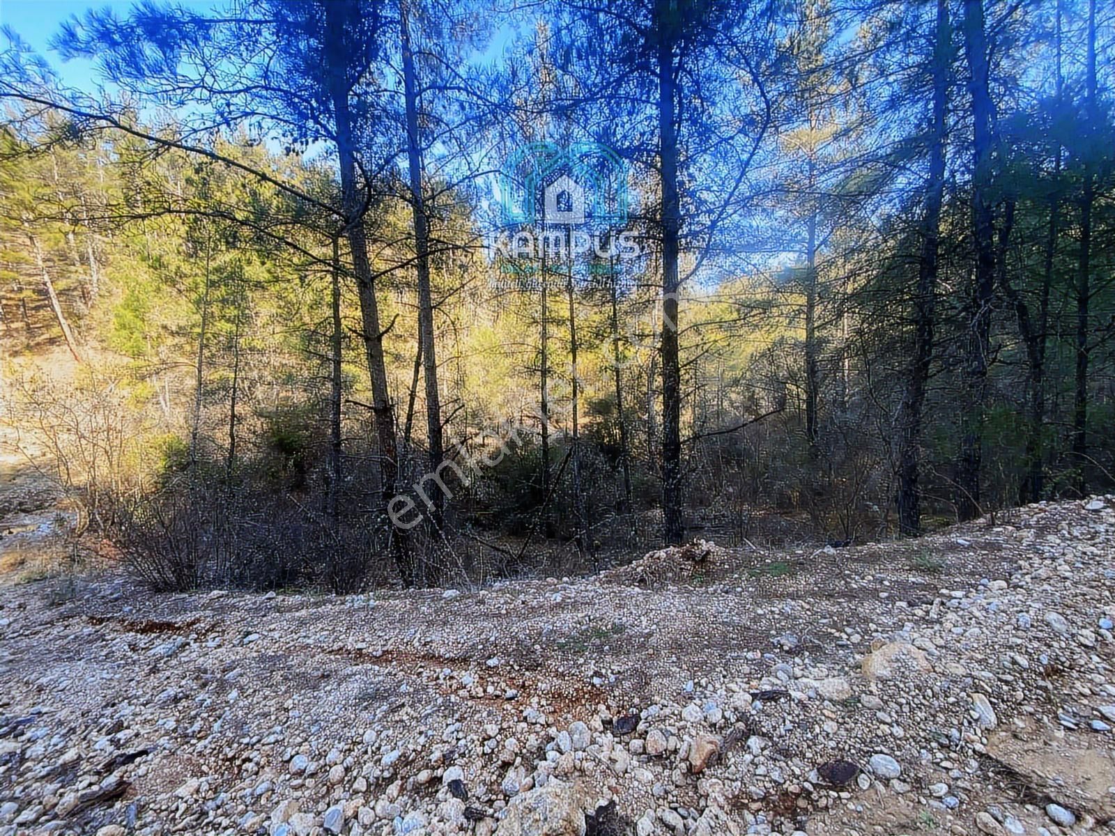 Muğla Yerkesik'te Damla Deresi Mevkiinde Satılık Tarla - Görsel 2