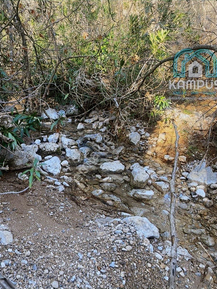 Muğla Yerkesik'te Damla Deresi Mevkiinde Satılık Tarla - Görsel 10
