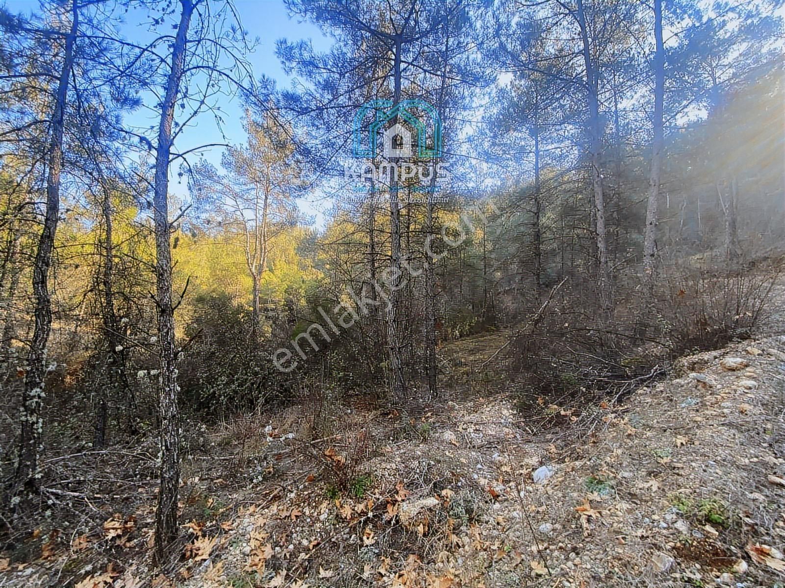 Muğla Yerkesik'te Damla Deresi Mevkiinde Satılık Tarla - Görsel 18