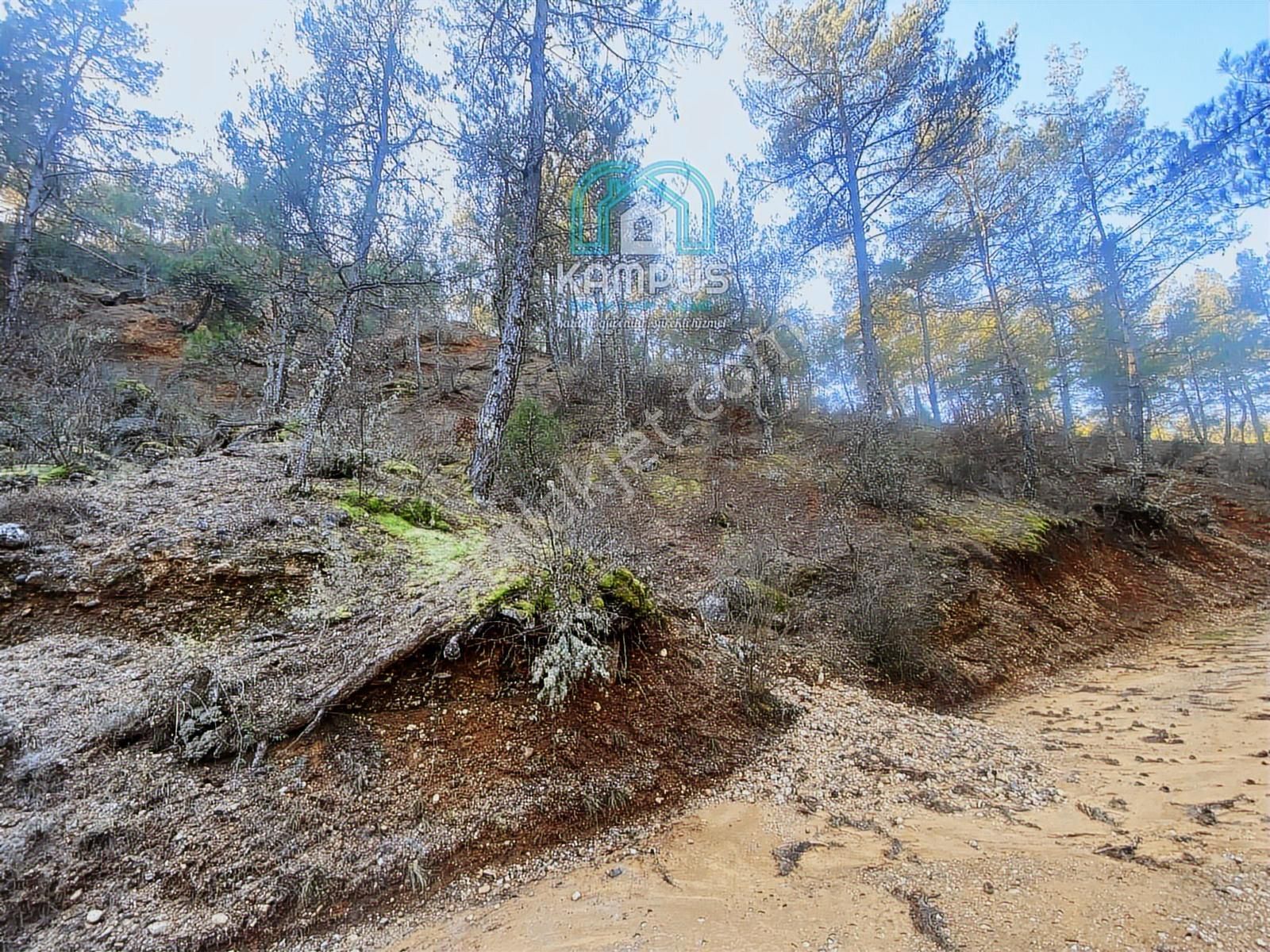 Muğla Yerkesik'te Damla Deresi Mevkiinde Satılık Tarla