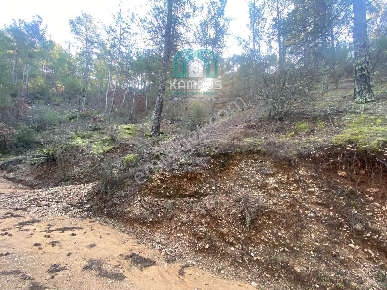 Muğla Yerkesik'te Damla Deresi Mevkiinde Satılık Tarla - Görsel 6