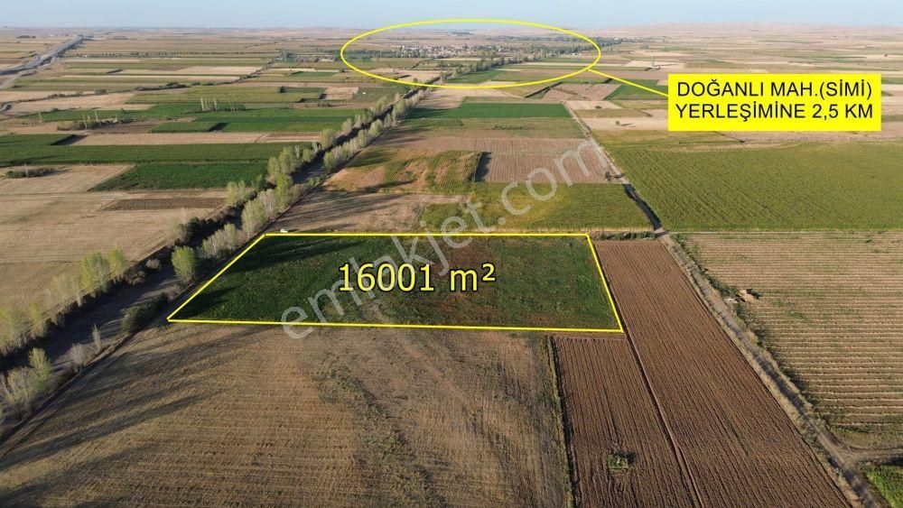 Çumrada Bozkır Yoluna Yakın Mustakil Tarla - Görsel 2