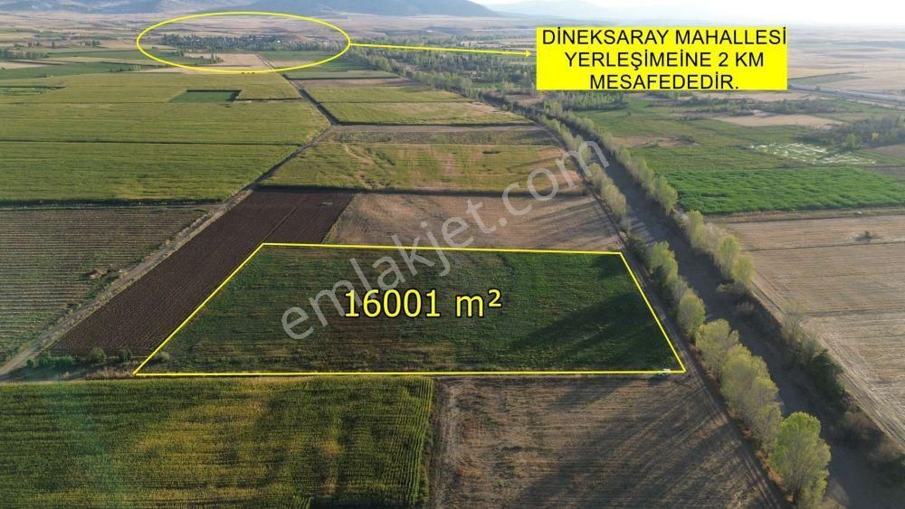 Çumrada Bozkır Yoluna Yakın Mustakil Tarla - Görsel 5