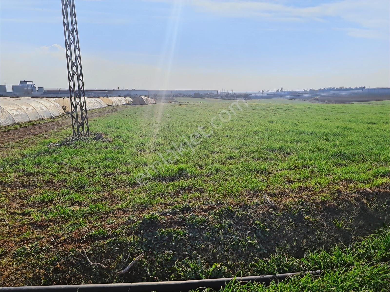 Tekstilkent Yakın 35mt Bulvara Cepheli İmar Plan İçinde Hisse - Görsel 7