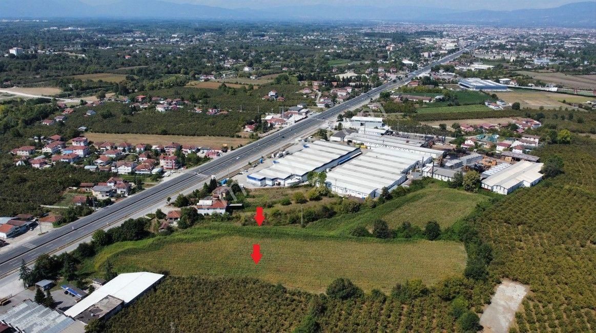 Düzce Merkez Altınpınar D.100 Kenarı Satılık Sanyi İmarlı Arsa - Görsel 13
