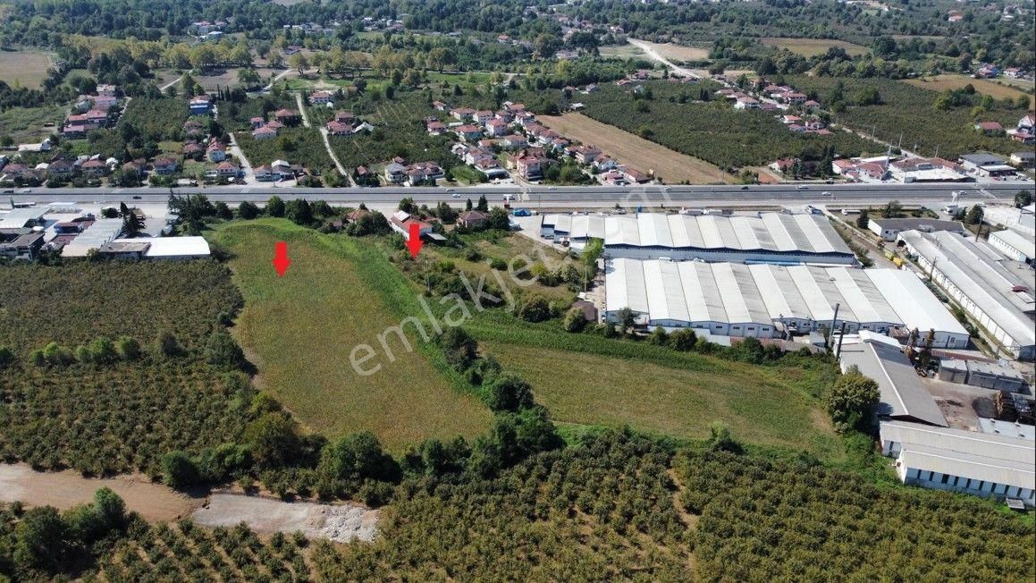 Düzce Merkez Altınpınar D.100 Kenarı Satılık Sanyi İmarlı Arsa - Görsel 12