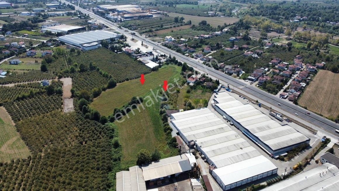 Düzce Merkez Altınpınar D.100 Kenarı Satılık Sanyi İmarlı Arsa - Görsel 11