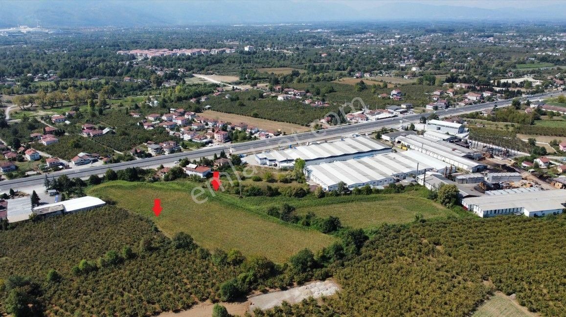 Düzce Merkez Altınpınar D.100 Kenarı Satılık Sanyi İmarlı Arsa - Görsel 2
