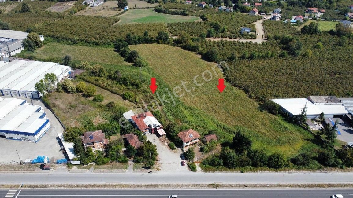 Düzce Merkez Altınpınar D.100 Kenarı Satılık Sanyi İmarlı Arsa - Görsel 8