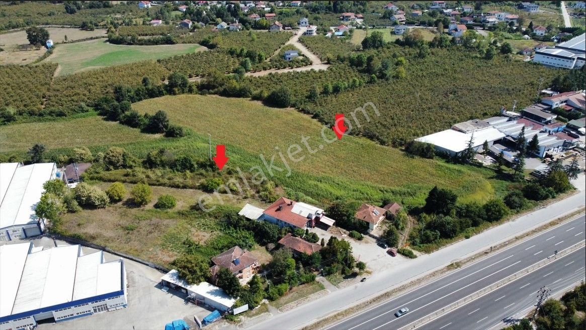 Düzce Merkez Altınpınar D.100 Kenarı Satılık Sanyi İmarlı Arsa - Görsel 9