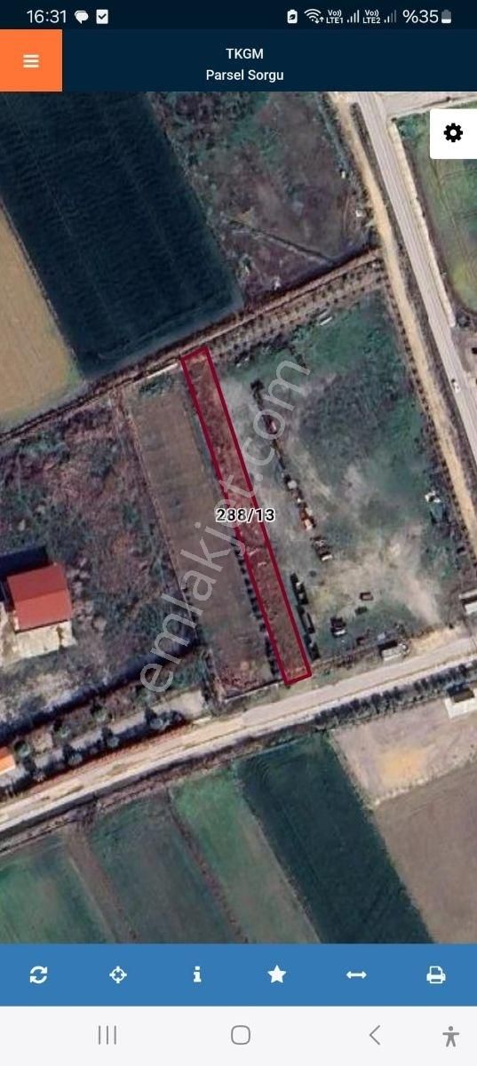 Seyrek'te 1.172 M2 Kiralık Tarla