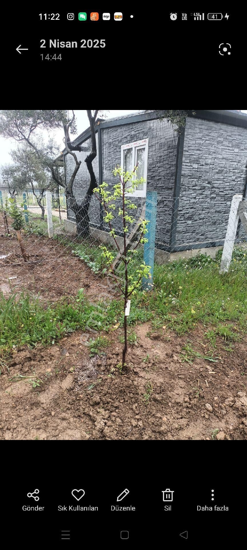 Acil Torbalı Dağkızılcada Satılık Bahçe - Görsel 2