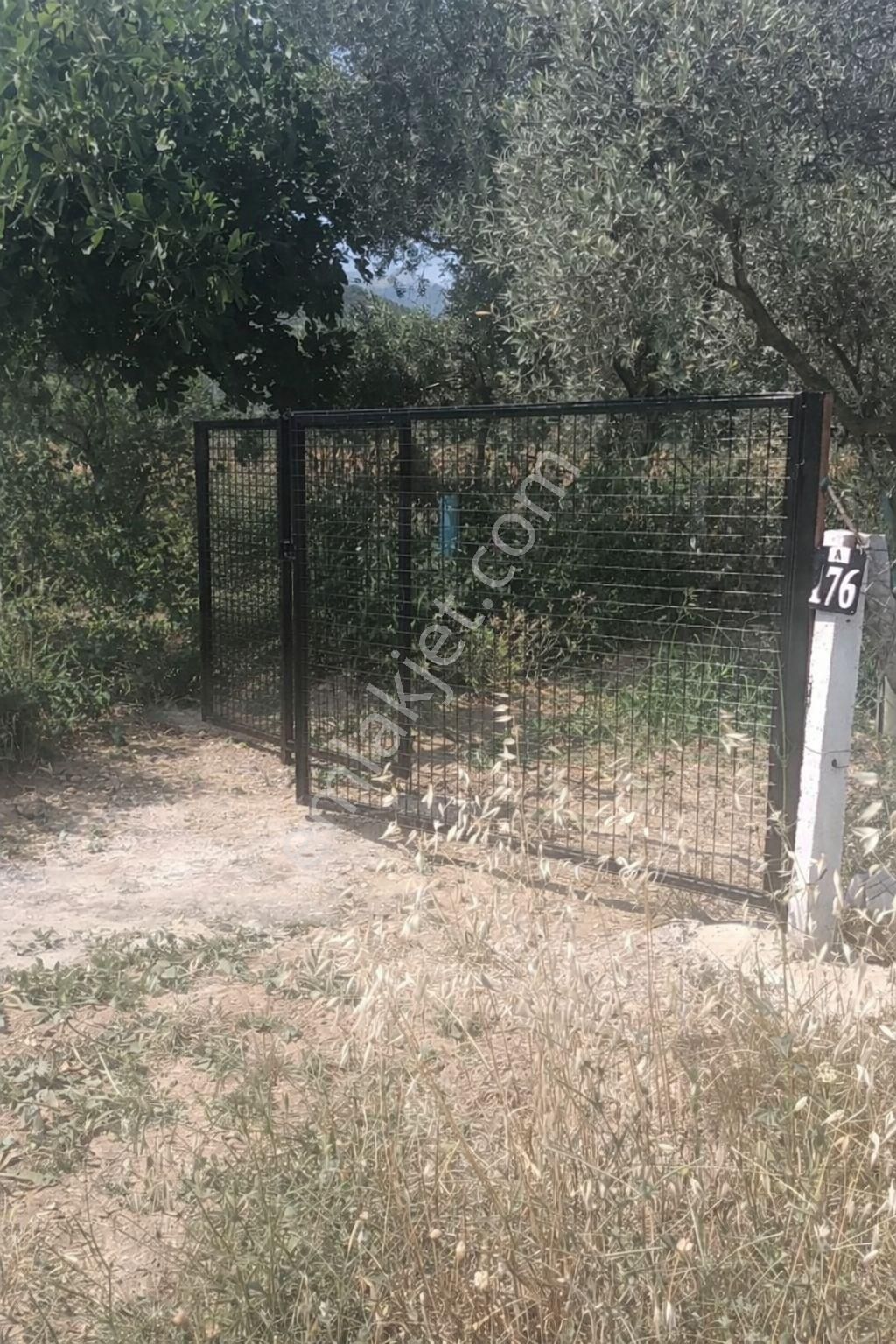 Acil Torbalı Dağkızılcada Satılık Bahçe