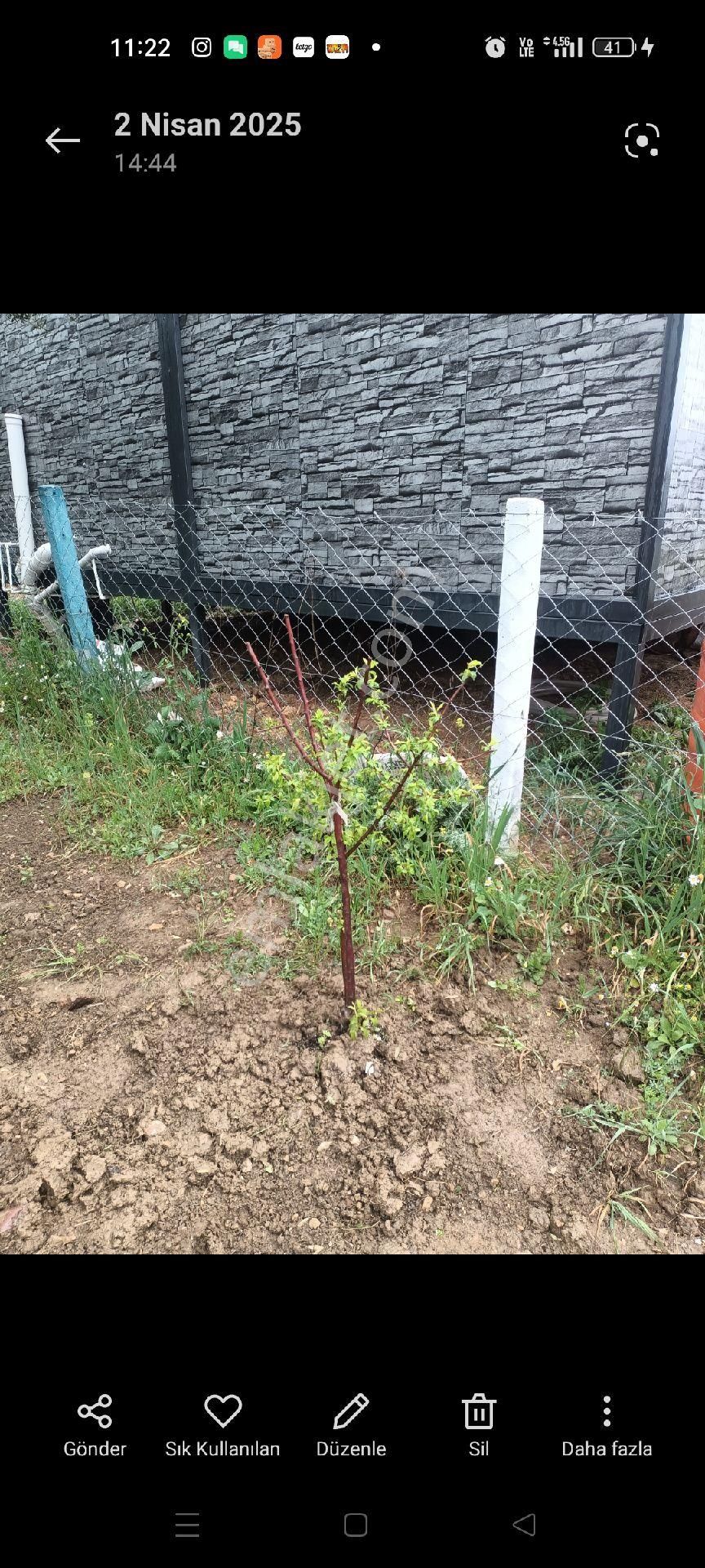 Acil Torbalı Dağkızılcada Satılık Bahçe - Görsel 3