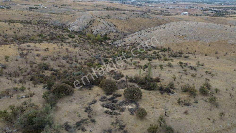 Meram Kozağaç Da 136,24 M2 Hisse Tapulu Arazi - Görsel 2