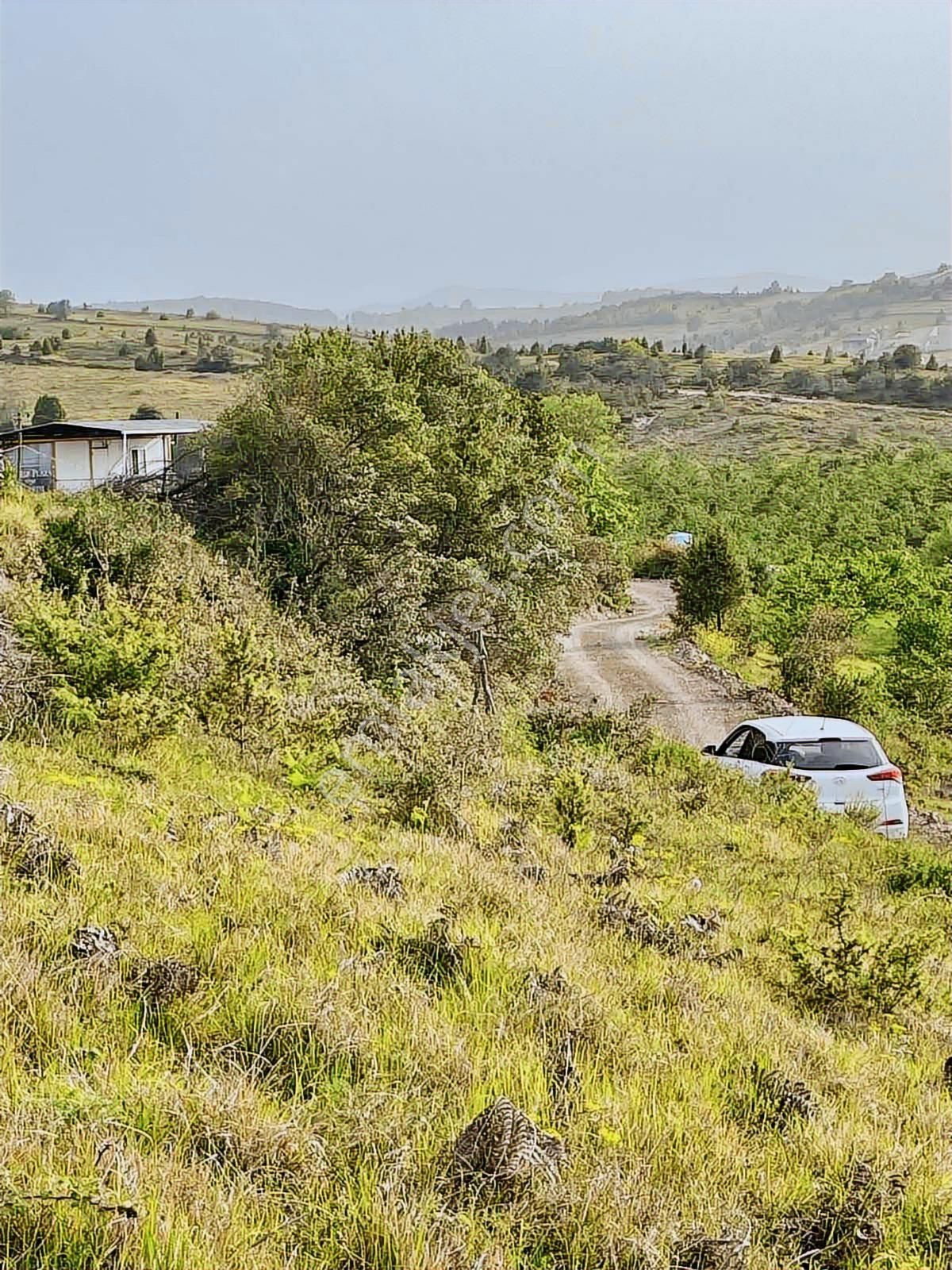 Ağva'ya Komşu Kandıra/yağcılar Yol Üstü 2.450.000₺ - Görsel 14