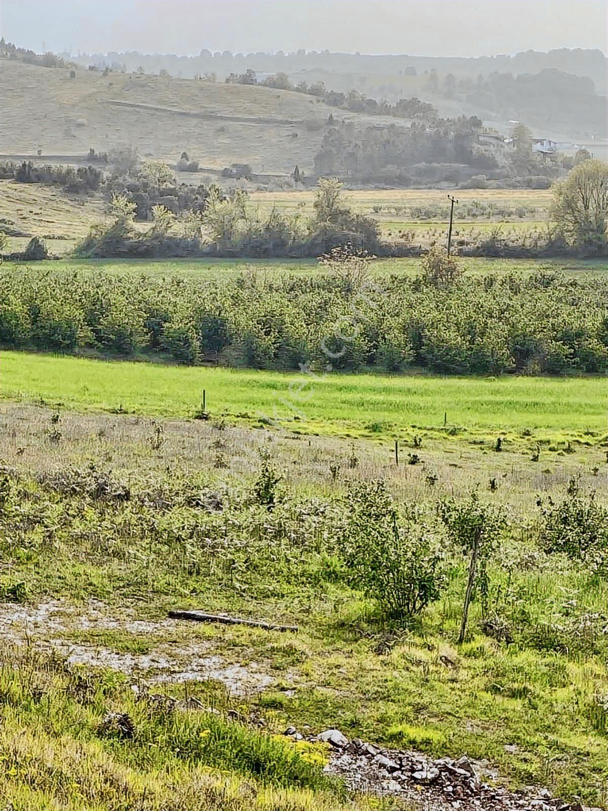 Ağva'ya Komşu Kandıra/yağcılar Yol Üstü 2.450.000₺