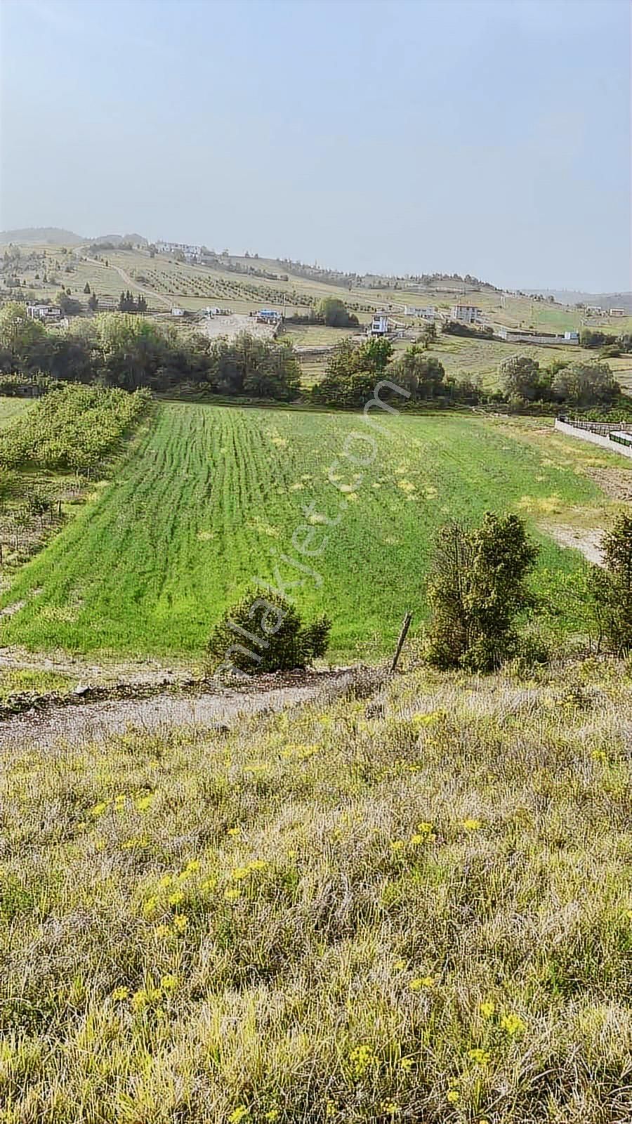 Ağva'ya Komşu Kandıra/yağcılar Yol Üstü 2.450.000₺ - Görsel 7