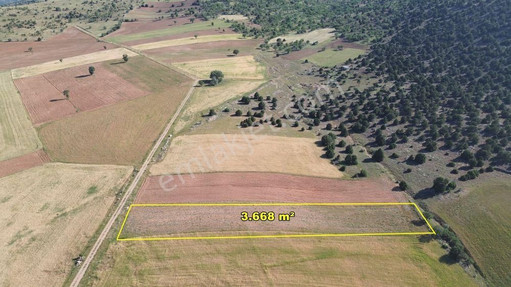 Akören Alan Da 3.668 M2 Müstakil Tapulu Arazi - Görsel 2