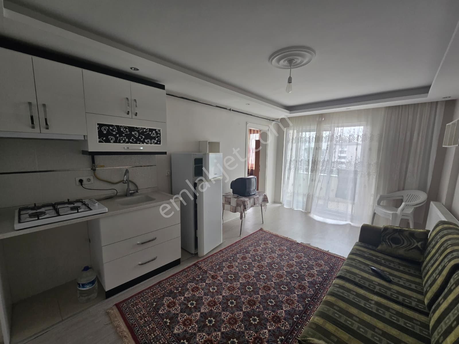 Zenith Real Estate Gaziosmanpaşa Mh.kiralık Amerikan Mutfak 1+1 - Görsel 13