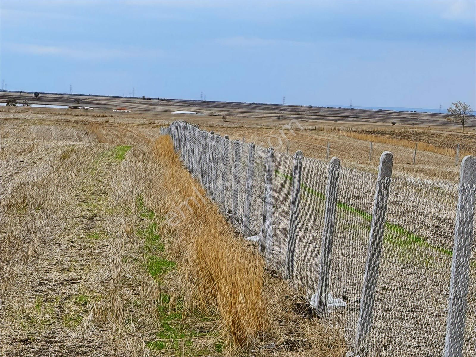 Tekirdağ Saray Kadıköy Bağ Yeri - Görsel 13