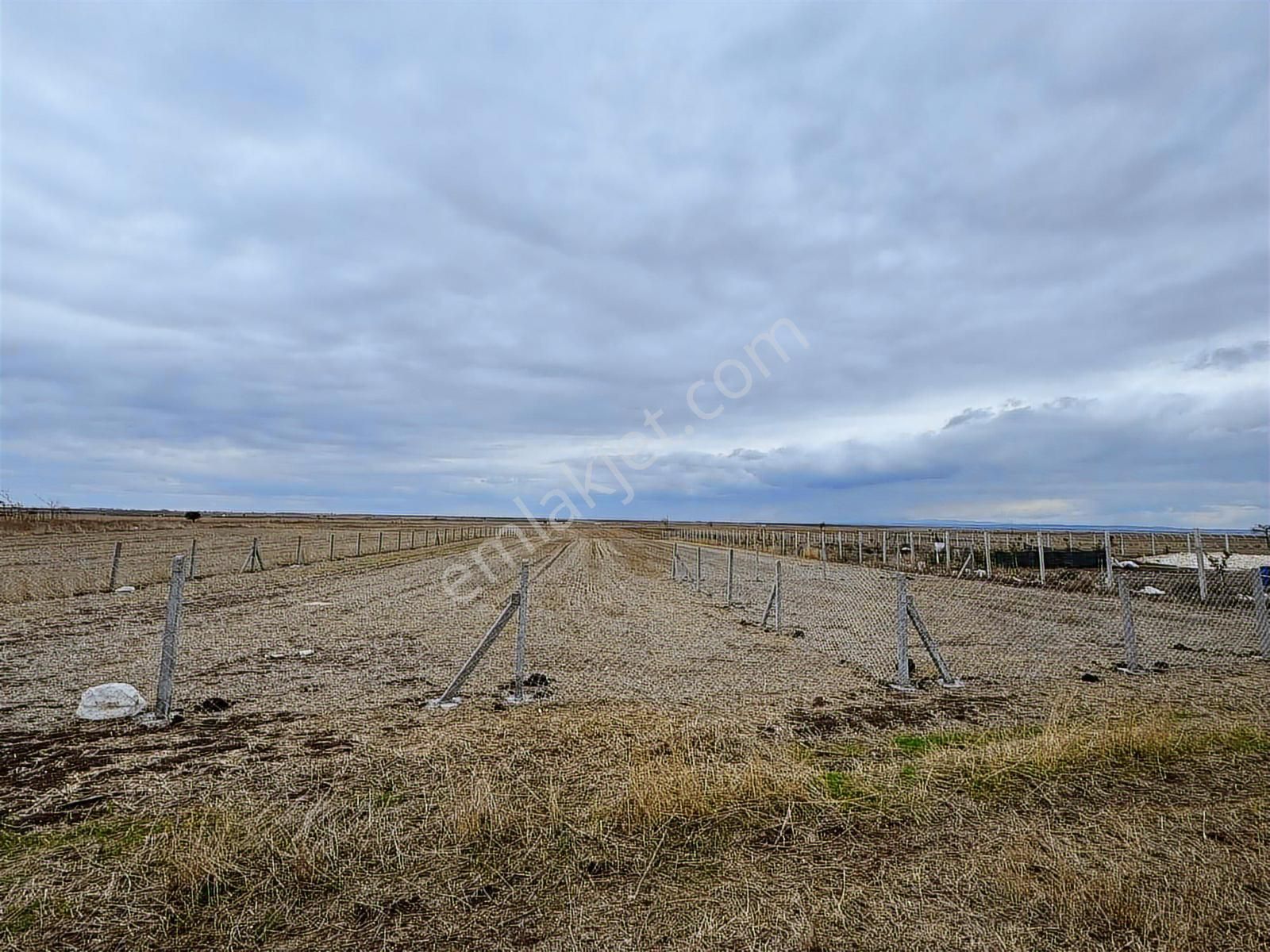 Tekirdağ Saray Kadıköy Bağ Yeri - Görsel 9