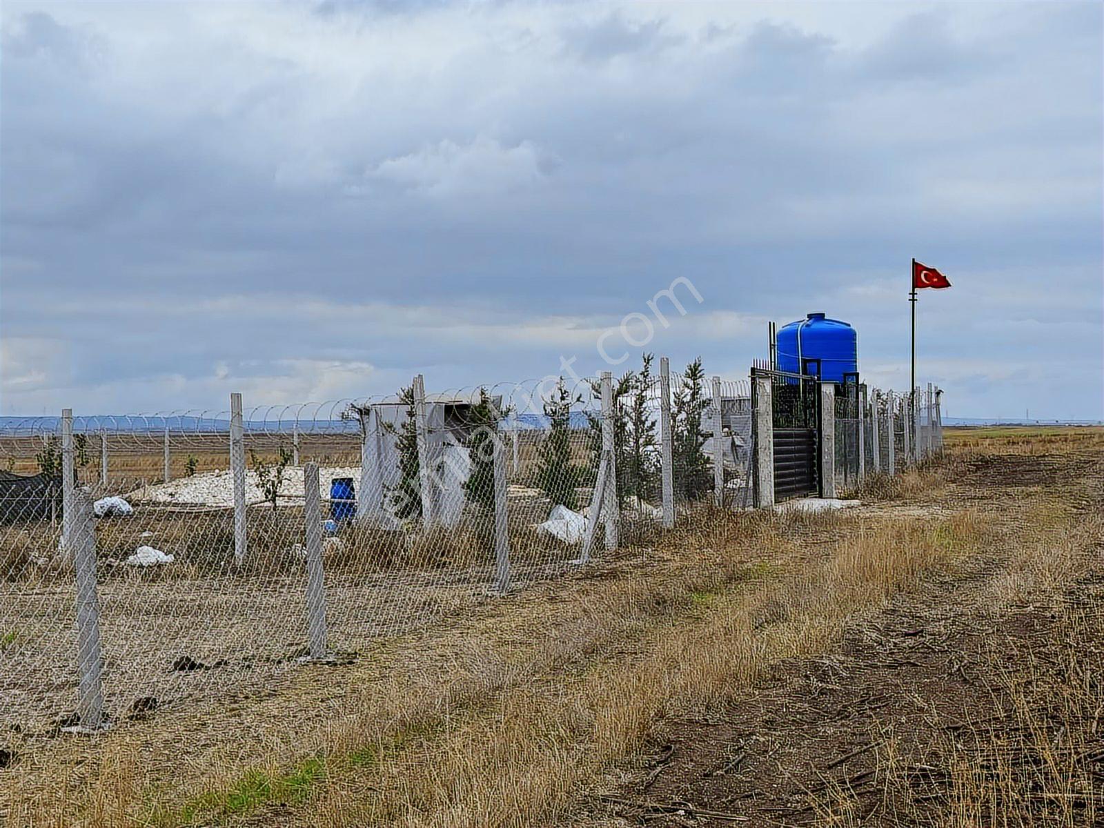 Tekirdağ Saray Kadıköy Bağ Yeri - Görsel 10