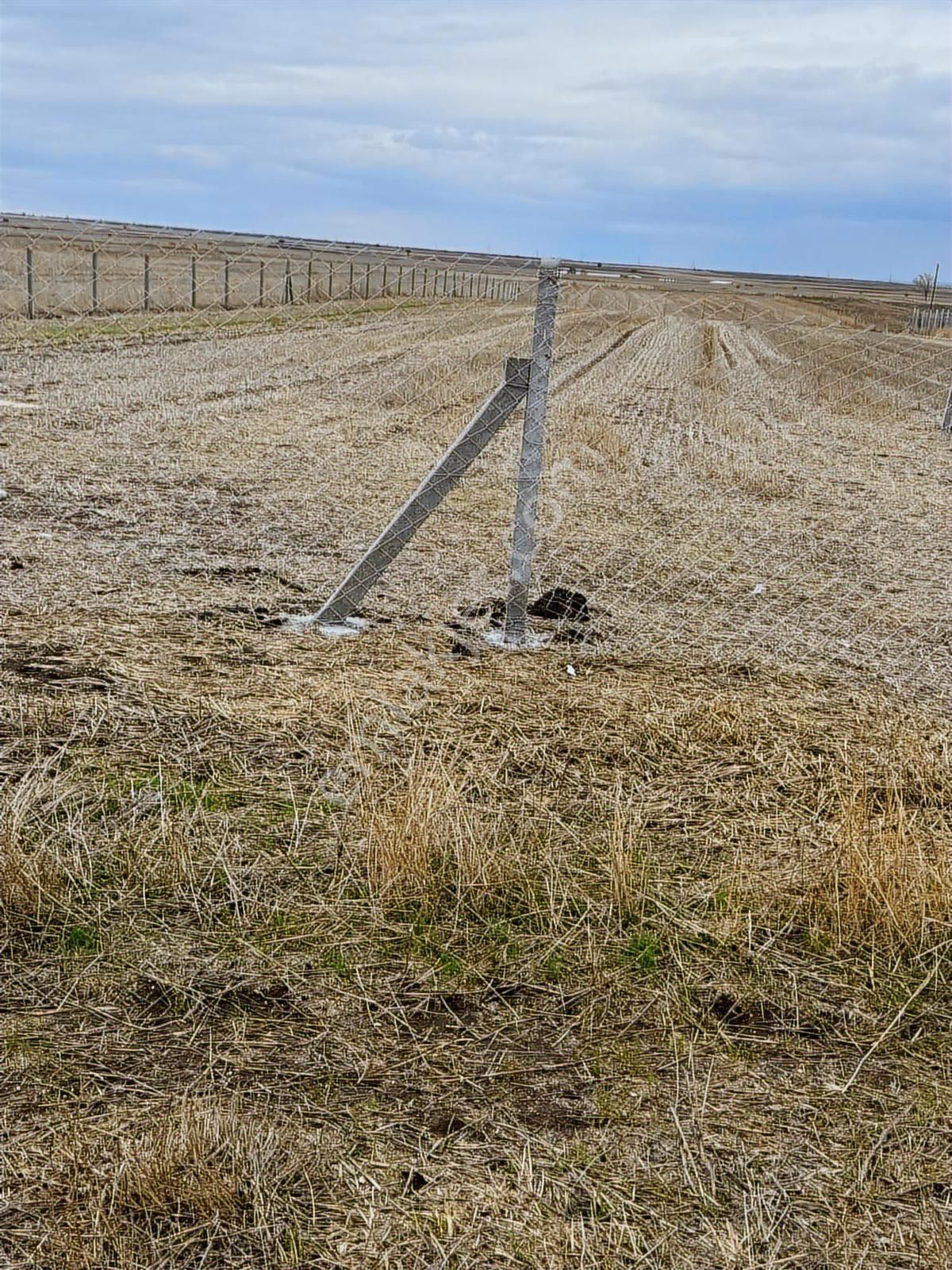 Tekirdağ Saray Kadıköy Bağ Yeri - Görsel 6
