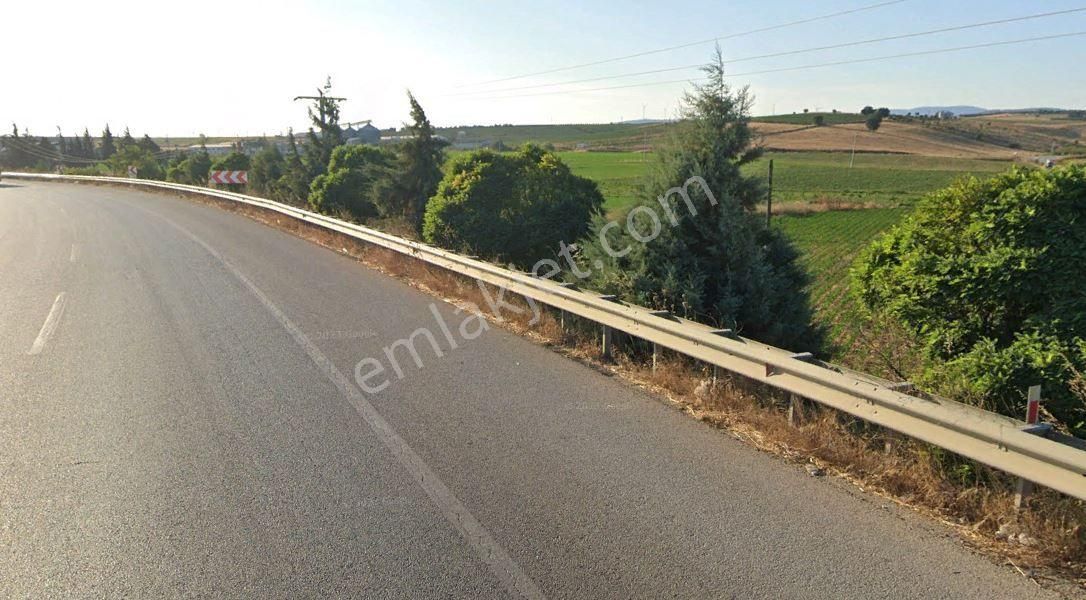 Karacabey Şahinköy'de 10.872m2 Satılık Arazi - Görsel 5
