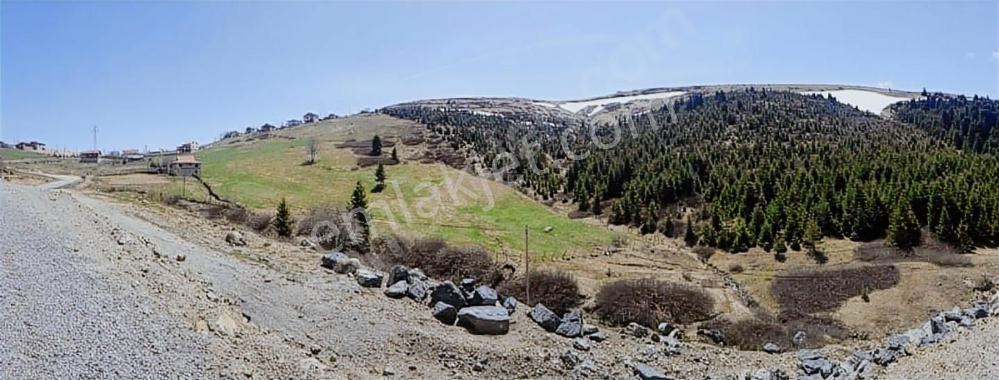 Ordu Çambaşı Kayak Merkezi Bitişiğinde Satılık Arsa - Görsel 2