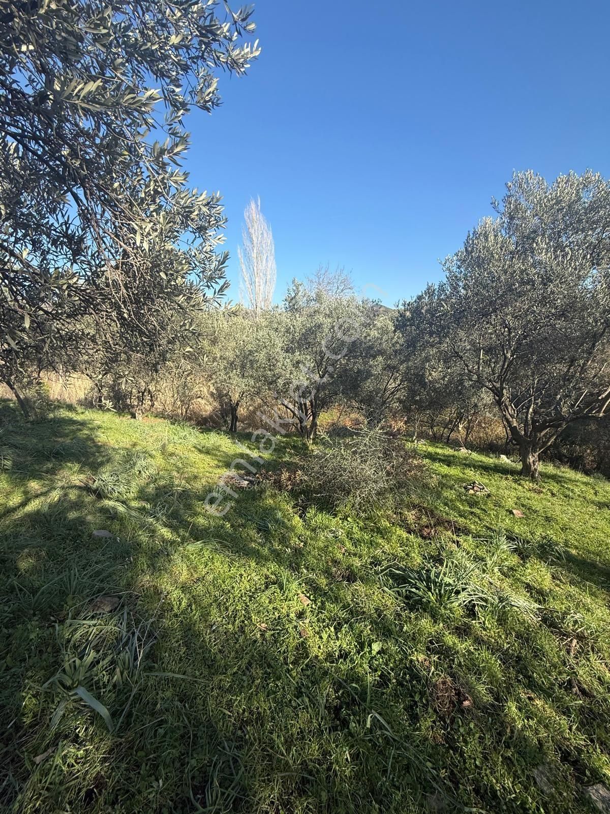 Saadet Korkmaz Emlak'tan Kıratlı Köyünde Satılık 3077 M2 Tarla - Görsel 5