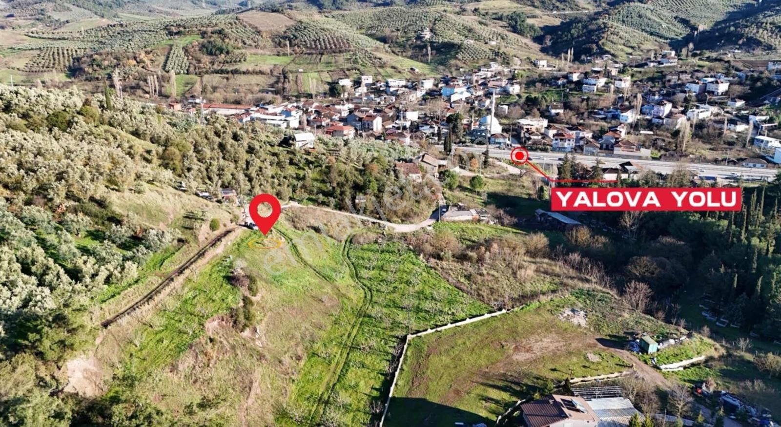 Bursa Gemlik Kurtul 1.314 M2 Yola Cephe Tek Tapu Fırsat Tarla