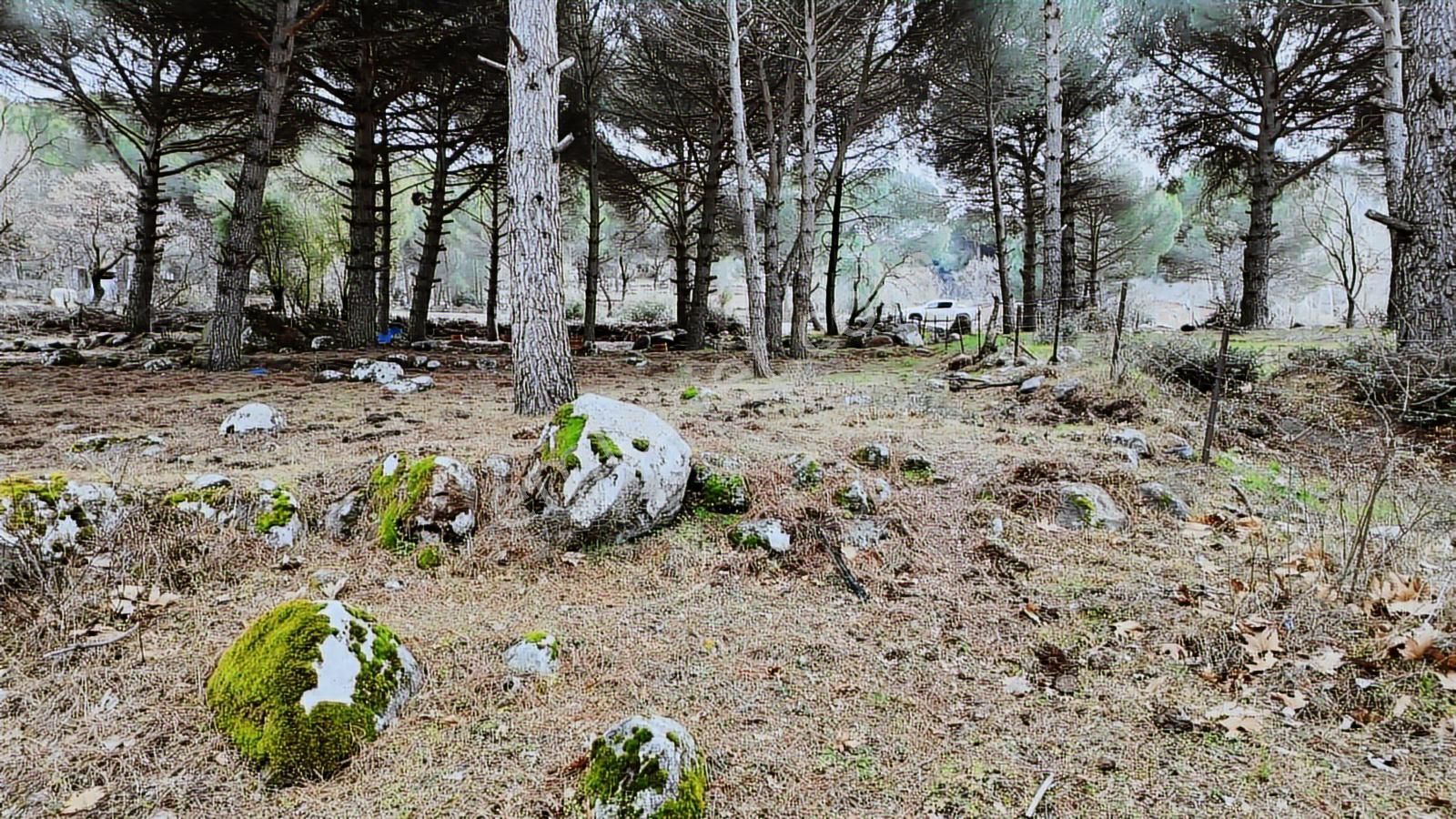 Ayvalık Yolu Üzeri -dere Cepheli (asagıbey /1894 M2) - Görsel 2