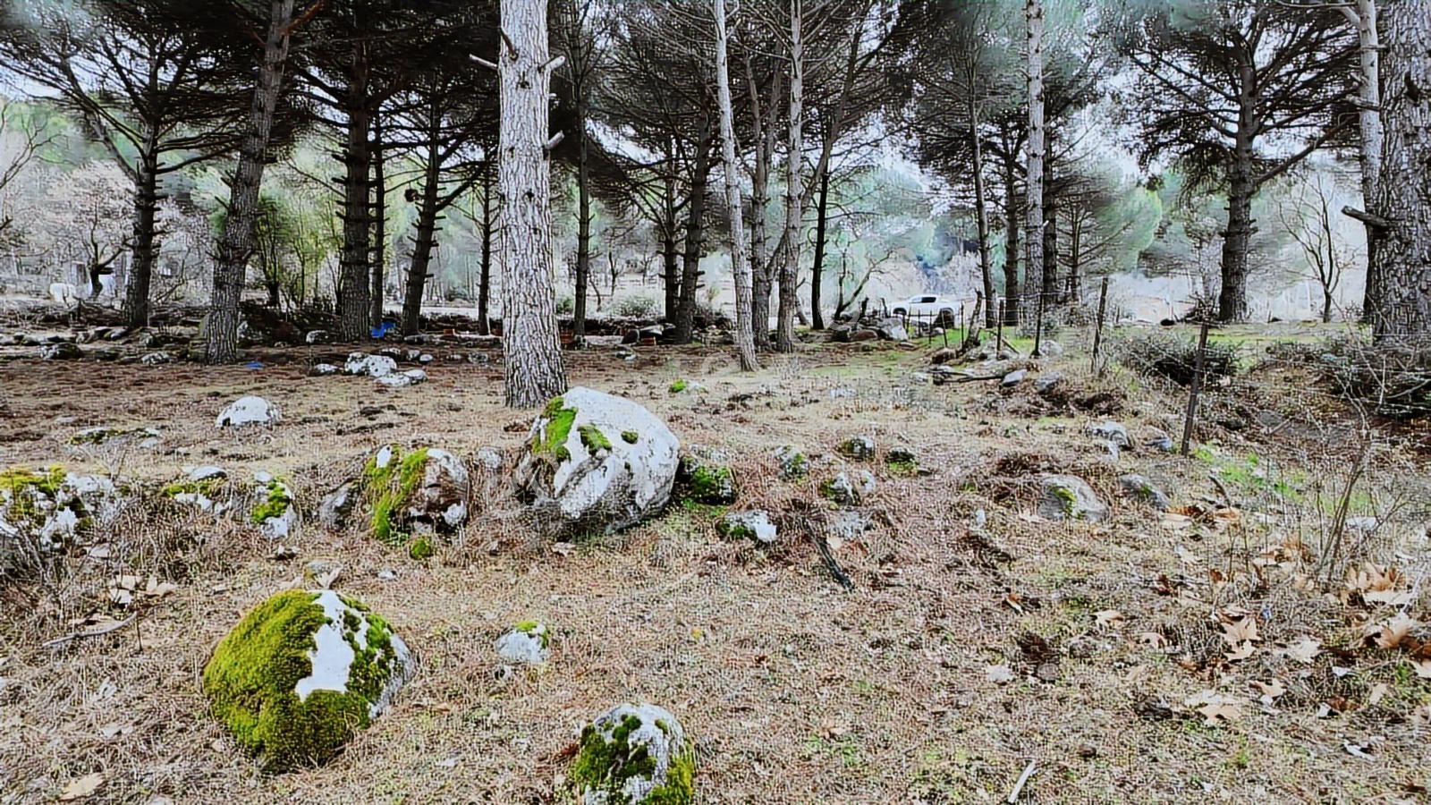Ayvalık Yolu Üzeri -dere Cepheli (asagıbey /1894 M2) - Görsel 12