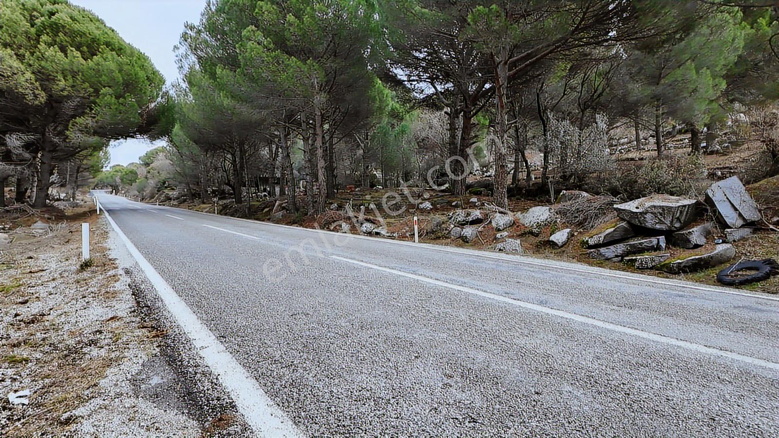 Ayvalık Yolu Üzeri -dere Cepheli (asagıbey /1894 M2) - Görsel 11