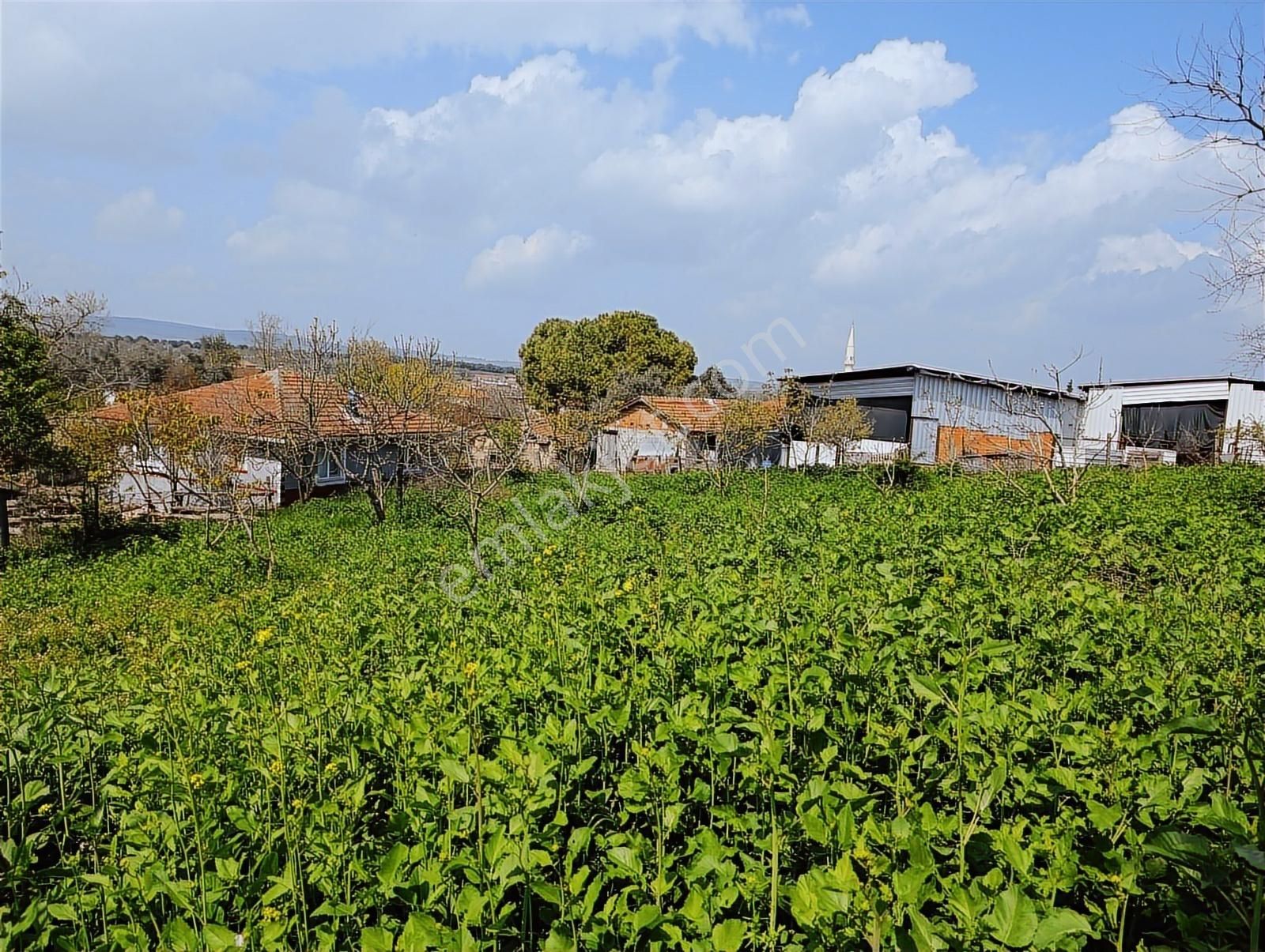 1.470 M2 Müstakil Köy Evi Arsa Meyve Bahçeli Bağ-bahçe Asmalıder - Görsel 7